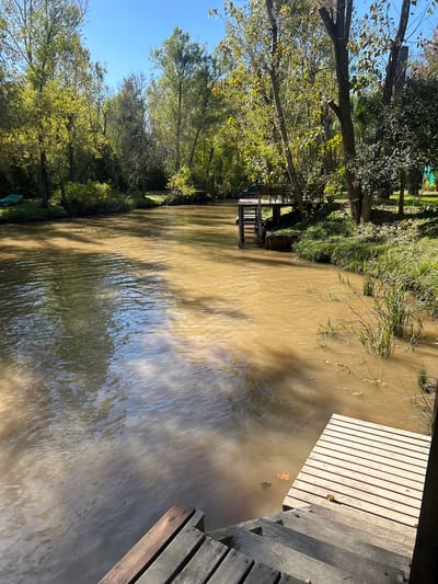 The scene is a waterway, presumably a river or canal, in Dique Luján, Argentina. The water is brown and reflects the sky and surrounding vegetation. The left bank is lined with trees, showing signs of autumn. A wooden structure or platform sits on the water's edge. On the right side, there is a wooden deck or dock with steps leading down to the water. A couple of leaves float on the water's surface. The weather appears bright and sunny.