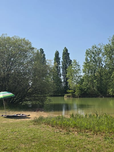 The image shows a lakeside scene in Epping Forest, United Kingdom. The water, reflecting trees and sky, occupies the upper right quadrant. A grassy bank descends towards the water, with an area of sand or dirt visible between the grass and the water's edge. A fishing rod, a green-and-white striped umbrella, and some dark-colored equipment are positioned near the bank. Trees line the left side of the image and are seen in the background. The sky is clear and blue.