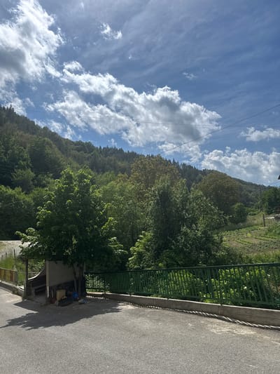 The image depicts a view from a road in Breza, Bulgaria. To the left, a hillside covered in trees is visible, reaching towards a cloudy sky with power lines running across. Adjacent to the road is a green fence, behind which lies a cultivated plot, possibly a vineyard or garden. On the right side of the road, there's a bus stop structure partially obscured by trees, with some items scattered underneath its shelter. The road is gray and appears to be asphalt.