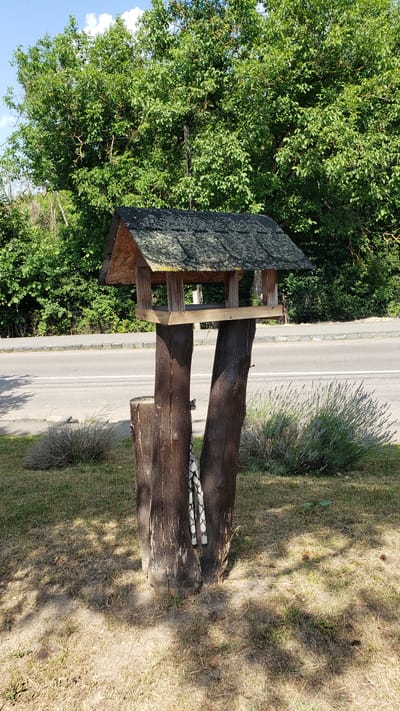 The image depicts a wooden bird feeder mounted on two upright tree stumps, situated in an outdoor setting. The bird feeder has a simple, open design with a sloping roof covered in what appears to be moss or lichen. It is supported by two rough-hewn, dark brown wooden posts, which are likely sections of trees. A patterned fabric ribbon or rope is tied around the junction of these posts, near the base.
The bird feeder is positioned on a grassy area, with dry, straw-like grass in the foreground and patches of greener grass further back. To the left and right of the bird feeder are low-lying, bushy plants with small, light green leaves. In the background, a paved road with a white line marking runs horizontally across the frame. Beyond the road, there is a dense line of green trees, suggesting a wooded area or a park. The sky above is blue with some white clouds.
The lighting indicates it is daytime, with distinct shadows cast on the ground from the bird feeder and the surrounding vegetation, suggesting a sunny day. The overall impression is a rustic, natural environment, possibly a roadside or park area.
Based on the provided information, this scene is located in the city of Vyšné Nemecké, Slovakia.