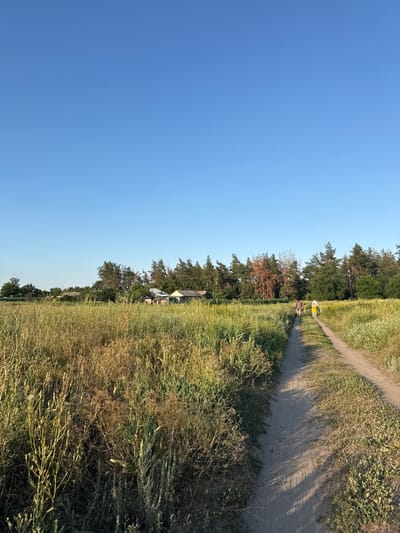The image depicts a natural outdoor scene with a dirt path winding through a field of tall grass and wildflowers. A line of trees runs along one side of the path, with a few buildings nestled among them in the distance. The sky is a clear, bright blue, suggesting a sunny day, likely in the late afternoon or early evening given the long shadows cast by the trees across the path.
Several people are visible on the path, walking away from the camera. One person is wearing a bright yellow garment, while others are in lighter colored clothing. They appear to be casually strolling, perhaps enjoying a walk or hike in the countryside. The overall atmosphere is peaceful and serene, evoking a sense of rural tranquility. The lush greenery and natural light suggest a warm season, likely summer or late spring. There are no visible signs or text in the image. The location context provided is Baidivka, Ukraine.