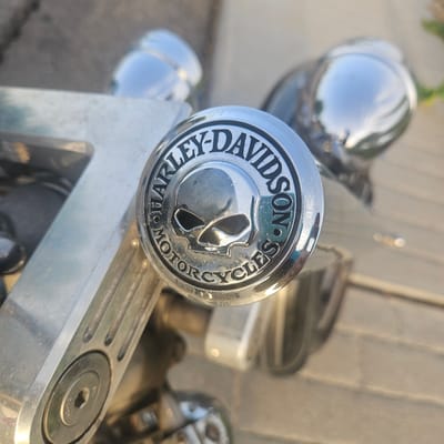 A close-up, eye-level, outdoor shot focuses on a chrome emblem on a Harley-Davidson motorcycle. The emblem is circular with "HARLEY-DAVIDSON" written in an arc at the top, and "MOTORCYCLES" in an arc at the bottom. In the center of the emblem is a stylized skull with darkened eye sockets and nasal cavity. The motorcycle's chrome components reflect the surrounding environment, including a wooden deck and some foliage. The image is well-lit, with a shallow depth of field that blurs the background. The location is unspecified in the image or its crops, so its presence in Illescas, Spain cannot be determined.