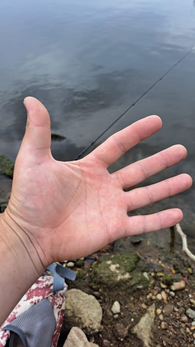The image shows a person's left hand in the foreground, held open with the palm facing the camera. The hand is lightly dusted with what appears to be sand or dirt, and some faint lines are visible on the palm. The fingers are spread apart, with the thumb extended outwards.
In the background, there is a body of dark, still water, possibly a river or lake. A thin fishing rod extends diagonally across the water from the left side of the frame, with its tip just visible near the person's hand. The water's surface reflects the sky, suggesting an overcast or muted lighting condition.
To the right of the hand, the bank of the water body is visible. It is composed of rough, textured ground with various stones, pebbles, and patches of green moss or vegetation. A piece of white driftwood or a branch lies near the top edge of the frame. In the lower right corner, part of a backpack or bag with a patterned fabric (red and white) and grey mesh material is visible, suggesting the person is engaged in an outdoor activity.
The overall scene appears to be a calm, natural setting by the water, likely during daylight hours. The focus is on the hand, potentially indicating a context related to fishing or handling something from the water. There is no visible text in the image.