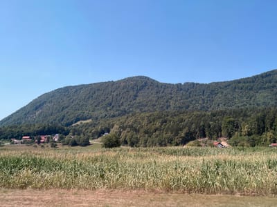 This is a landscape photograph taken in Šmartno ob Paki, Slovenia. In the foreground, a field of tall, dry corn stalks stretches across the frame. Behind the cornfield, a small cluster of red-roofed buildings, likely farmhouses, are nestled amongst trees. Further in the background, a densely forested mountain rises steeply, its slopes covered in a variety of trees. The sky above is a clear, vibrant blue with no clouds visible. The overall scene depicts a rural, agricultural setting with a prominent natural landscape.