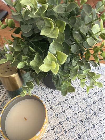 The image presents a still life arrangement on a surface covered with a blue and white patterned textile. A lush, green leafy plant dominates the left side of the frame, positioned in a dark-colored pot. Adjacent to the plant, a metallic gold object with small perforations is visible. To the right, a round candle in a yellow decorative container with a floral pattern sits on the patterned surface. The scene appears to be indoors. There is no indication of location or Guildford.