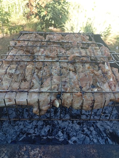 The image shows a close-up, eye-level view of chicken pieces grilling on a metal rack over hot coals. The chicken is arranged in rows on the rack, appearing to be partially cooked with some browning and charring. The coals below are grey and appear to be the remains of a fire. The background shows greenery, suggesting an outdoor setting, possibly a backyard or park. The image is well-lit, likely by natural sunlight. There are no people visible in the image. The scene is consistent with a barbecue or outdoor cooking event. The location in Mykhnivtsi, Ukraine is not explicitly indicated within the image itself, but the context of a barbecue could be common in such a location.