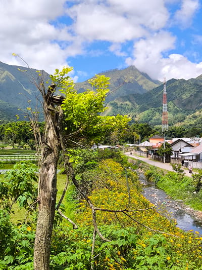 The image presents a landscape in Sembalun Bumbung, Indonesia, dominated by mountainous terrain in the background under a partly cloudy sky. In the midground, a village scene unfolds along a road adjacent to a flowing stream. The scene shows single-story houses with varying roof colors, indicating residential areas. A communications tower is positioned near the houses, likely for local signal transmission.
In the foreground, the composition features a partially dead tree, and abundant yellow flowers and green foliage. Agricultural fields can be observed on the left, contributing to the rural character of the location. Along the road, a motorcycle with two occupants indicates traffic. The stream contains visible debris, indicating possible pollution issues.