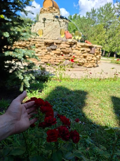 A hand is reaching out towards a cluster of red roses in the foreground. In the middle ground, a stone fountain with a wooden barrel on top is visible, with several wine glasses filled with a yellow liquid positioned around it. The background consists of green trees and a blue sky with white clouds. The scene appears to be set in a park or garden area, possibly at a winery or tourist attraction in Mileștii Mici, Moldova, given the presence of wine glasses and a barrel. The lighting suggests it is daytime, with sunlight casting shadows on the grass.