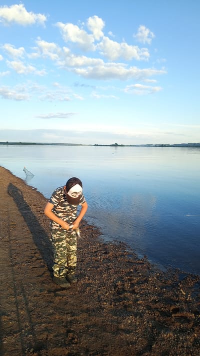The image displays a young male, appearing to be a boy, standing at the edge of a wide body of water, likely a river, in the vicinity of Шолья, Russia. The boy is positioned on a bank composed of dark earth and gravel, facing downwards towards a small, silver-scaled fish he holds in both hands directly above the water. He is wearing a short-sleeved camouflage t-shirt in shades of green, brown, and beige, along with camouflage cargo pants in similar colors. A brown baseball cap with a white front panel featuring a dark graphic is worn on his head. Dark, low-cut footwear is visible on his feet.
To the boy's left, a green mesh fishing net is partially submerged in the shallow water near the shore. The immediate ground beneath the boy transitions from a compacted dirt path on the left to a pebbled and rocky shoreline. Footprints are discernible in the earthy areas.
The large body of water extends across the middle and right portions of the frame, exhibiting a calm surface that reflects the sky. A distant, low-lying landmass or far bank with some vegetation is visible on the horizon. The sky is a clear light blue, populated by scattered white cumulus clouds, with a greater density of clouds in the upper left quadrant of the image. The ambient light indicates either early morning or late afternoon conditions.