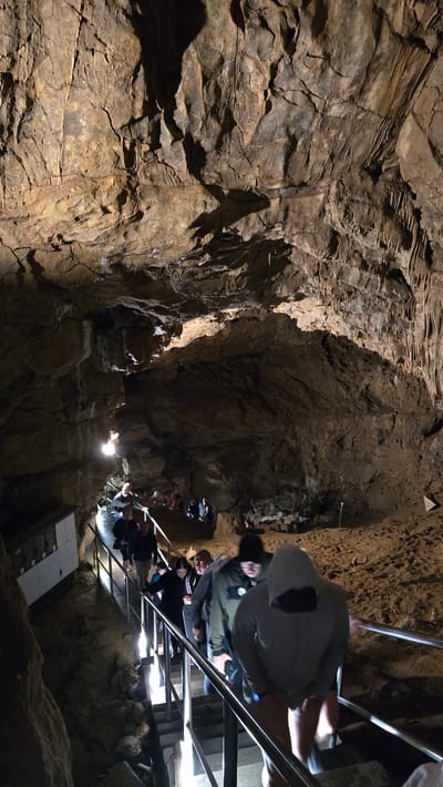 The image shows a group of people descending a metal staircase inside a cave. The cave walls are rough and textured, with visible layers of rock. The staircase is well-lit, creating highlights on the metal railings and the faces of the people.
The subjects are a mix of men, women, and children, all dressed in casual clothing. Some are wearing hooded jackets. They appear to be on a guided tour or exploring the cave. The activity is walking down the stairs, and the overall mood seems neutral, with no strong emotions evident.
Notable details include the texture of the cave walls, which vary from smooth to jagged. The lighting is artificial, casting shadows that emphasize the cave's natural formations. There is a white panel with some text on it visible at the bottom left of the image, but the text is not legible.
The scene is set within a cave, likely a tourist attraction given the presence of a sturdy staircase and railings. The location context provided is Vavřinec, Czechia, suggesting this is a cave in that region. The time of day and weather are not discernible from the image.