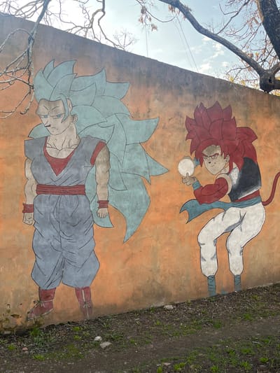 This outdoor image shows a mural on a beige wall in Merlo, Argentina. The mural features two anime characters from the Dragon Ball series. The top character has red hair, a black vest, white pants, and a blue sash. He is holding a glowing white ball in his hand. The bottom character has blue hair and is wearing a grey outfit with red accents. The wall is partially obscured by tree branches in the upper left and lower left corners. To the right of the wall is soil with some grass growing. The sky with some clouds is visible in the upper left corner.