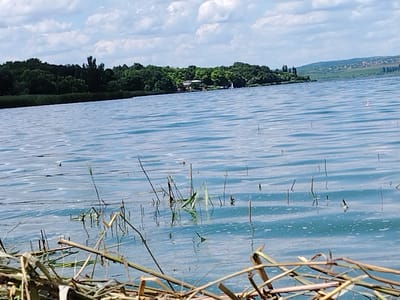 The image depicts a scenic view of a body of water, likely a lake or a large river, with a tree-lined shore in the background. The water is calm with gentle ripples reflecting the cloudy sky. In the foreground, dry reeds and branches are visible, partially submerged in the water, suggesting a natural, untamed environment. On the far shore, a dense forest stretches across the landscape, with some buildings and structures peeking through the trees, indicating a human settlement. Further in the distance, rolling hills with scattered houses and fields form a panoramic backdrop. A small, pink fishing float is visible on the surface of the water to the right of the frame, implying recreational activity. The overall impression is one of tranquility and natural beauty, with a hint of human presence on the periphery. The image is taken in Vatra, Moldova.