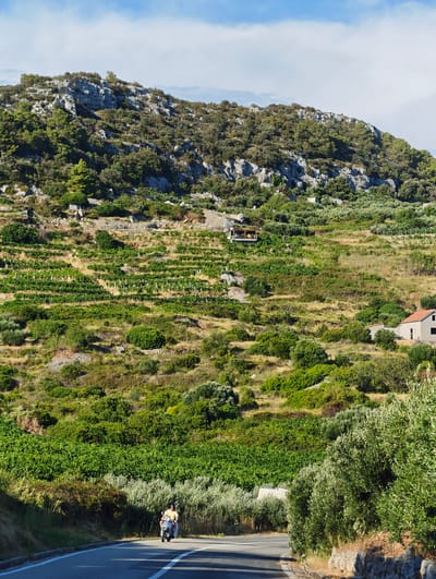 In the city of Hvar, Croatia, a person rides a scooter on a paved road that curves to the right. The scooter is silver and has a light-colored passenger. The person driving is wearing a yellow shirt and sunglasses. The road is bordered by green vegetation on the right, including olive trees. The background features a steep hillside covered in vineyards and olive groves, with rocky outcrops and scattered houses. The sky is blue with scattered white clouds.
