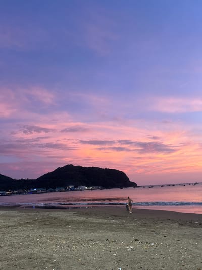 This image depicts a serene sunset scene on the beach in San Juan del Sur, Nicaragua. The sky is a vibrant gradient of purple and pink, with scattered clouds catching the last rays of the sun. A dark, tree-covered hill juts out into the calm ocean, with a small village nestled along its base, its lights beginning to twinkle. Numerous small fishing boats are anchored in the water, silhouetted against the colorful sky. On the sandy shore in the foreground, two figures are walking away from the camera. The person in front, wearing a bikini, appears to be walking a dog, which is walking beside them. The sand is a mixture of light brown and shells, with some debris scattered across it. The ocean is calm, with gentle waves lapping at the shore. The overall atmosphere is peaceful and tranquil, capturing the beauty of a tropical evening.