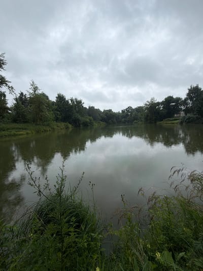 The image depicts a serene body of water, likely a lake or river, under an overcast sky. Lush green trees and vegetation line the far bank, creating a natural backdrop. The water's surface is calm, reflecting the cloudy sky and surrounding trees. In the foreground, tall grasses and various plants grow along the water's edge. A small, rustic building with a peaked roof can be seen nestled among the trees on the right side of the frame. The overall atmosphere is tranquil and natural, suggesting a rural or semi-rural setting. The image does not contain any people or visible actions. This scene is located in the city of Nikulskoye, Russia.