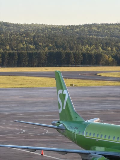 The image shows the tail section of a green S7 Airlines aircraft, registration number RA-89860, on a runway at Емельяново (аэропорт), Russia. The runway is bordered by a grassy area and a dense forest. A small orange cone is visible near the aircraft's landing gear. The sky is light, suggesting either dawn or dusk.