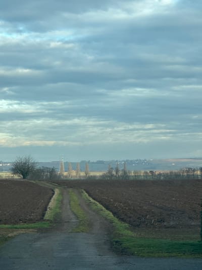 The scene depicts a rural landscape near Hurtigheim, France, under an overcast sky dominated by layered grey and light blue clouds. In the foreground, a dark, unpaved road or path, showing patches of green grass in its center and along its edges, extends into the midground, curving gently to the left. Flanking the path on both sides are large, recently tilled fields of dark brown earth. To the far left in the midground, a solitary deciduous tree stands bare of leaves. Further back, a series of tall, slender, leafless trees are visible, with a prominent metal lattice power pylon situated to their left. The background reveals a distant, sparsely populated village or town with light-colored structures situated on a rolling hill. No individuals, vehicles, or active interactions are observed within the frame. The overall environment suggests a late autumn or winter setting due to the bare trees and tilled fields.