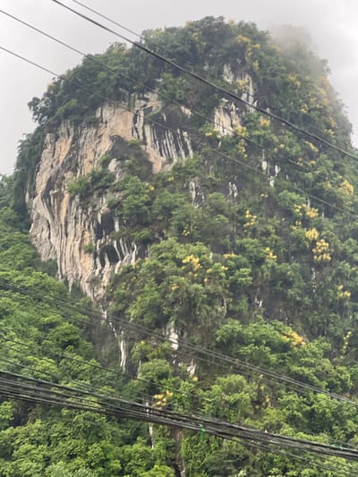 The image shows a steep, rocky mountain face partially covered in lush green foliage and scattered yellow flowers. Several sets of dark power lines are visible in the foreground, crisscrossing the frame horizontally. The sky is overcast and appears hazy, with some fog obscuring the upper portion of the mountain. The rock face exhibits vertical striations and some darker, shadowed crevices or openings. The overall scene suggests a natural landscape within a developed or developing area, indicated by the presence of the power lines. The specific location in Tân Thanh Commune, Vietnam, is not visually discernible from the image itself but is provided as context. There are no people or active events depicted.
