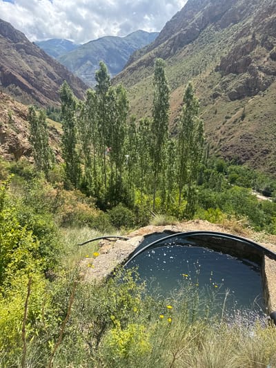 A circular stone-lined pool of dark, reflective water is situated in the foreground, with a black hose arcing over its surface and disappearing out of frame. Surrounding the pool is lush green vegetation, including grasses and small yellow wildflowers. In the mid-ground, a dense stand of tall, slender trees rises up a steep, rocky hillside. Beyond the trees, the landscape opens up to a vast, mountainous valley. The mountains are rugged and arid, with some evidence of terracing on their slopes. The sky above is partly cloudy, with patches of blue visible between the white clouds. The overall impression is one of a remote, natural setting. The location in Tortum, Turkey, is noted, but no specific city elements are visible in the image.