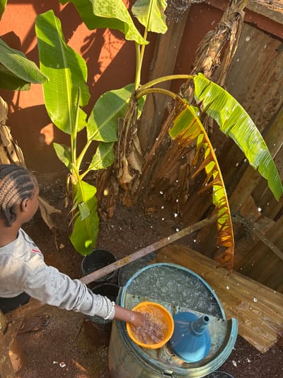 The image captures an outdoor scene in Agbogugu, Nigeria. A person, viewed from behind, is positioned towards the center-left. This individual has braided hair, wears a grey long-sleeved top and dark flip-flops, and has their right hand immersed in a yellow plastic bowl. The yellow bowl is situated inside a larger, light-blue cylindrical barrel that is partially filled with water. A blue funnel-like object rests next to the yellow bowl within the barrel.
To the left and foreground of the barrel, several dark-colored buckets are visible on the reddish-brown soil ground, some appearing to contain water. A long, dark metal bar or pipe extends diagonally across the mid-ground. Numerous small water droplets are suspended in the air, particularly prominent in the upper and right portions of the frame, indicating active water movement or splashing.
In the background, multiple banana plants with large, green leaves, some exhibiting brown, dried sections, are visible. These plants stand against a reddish-orange wall. Sunlight illuminates the scene, creating distinct shadows and highlights on the foliage and ground.