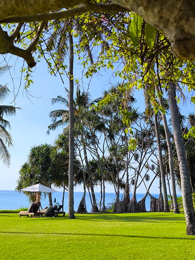 The image presents a scenic view in Sigar Penjalin, Indonesia. Lush green grass covers the foreground. In the middle ground, there is a beachside setting with palm trees, pandan trees, lounge chairs under a white umbrella, and a stroller. A person stands near the lounge chairs. Further back, the blue sea meets the clear, bright sky. The scene is partially framed by foliage from trees in the foreground, which adds depth and a sense of being observed from a hidden vantage point. Hanging lanterns are noticeable in the trees behind the lounge chairs.