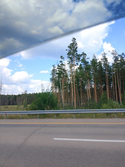 The image captures a view from a vehicle traveling along a paved road in Алтынды ауылдық округі, Kazakhstan. The road features a yellow line on the left and a white line on the right. A grey metal guardrail separates the road from the adjacent landscape. Beyond the guardrail, a grassy area transitions into a dense forest of tall pine trees, with some sparser, leafless trees interspersed. The sky above is blue with scattered white clouds. A diagonal reflection or glare from the vehicle's window cuts across the upper portion of the image, obscuring a part of the sky and the tops of some trees.