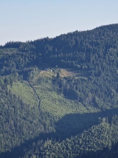 The image shows a mountainous, heavily forested landscape. A clear, pale blue sky dominates the upper portion of the image. The slopes of the mountains are covered in dense evergreen trees, with some areas showing signs of deforestation or clearing. A dirt track winds its way up one of the slopes. On the crest of a hill, a cluster of buildings, possibly a small settlement or farm, is visible. The sunlight casts a large shadow across the lower part of the mountain on the right side of the image. There are no people or animals visible in the scene. The overall impression is one of a remote, natural environment.