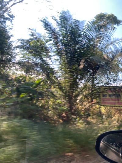 The image shows a blurry outdoor scene, likely captured from a moving vehicle. Lush green foliage and trees dominate the frame, with sunlight filtering through the leaves. A yellow sign with red lettering is partially visible on the right side of the image, but the text is too blurred to be read. A portion of a car's side mirror is visible in the bottom right corner, further indicating that the photo was taken from inside a vehicle. The overall impression is of a fast-moving journey through a verdant, possibly rural or suburban, area. Based on the provided information, this scene is located in Mandi Angin Barat, Indonesia.