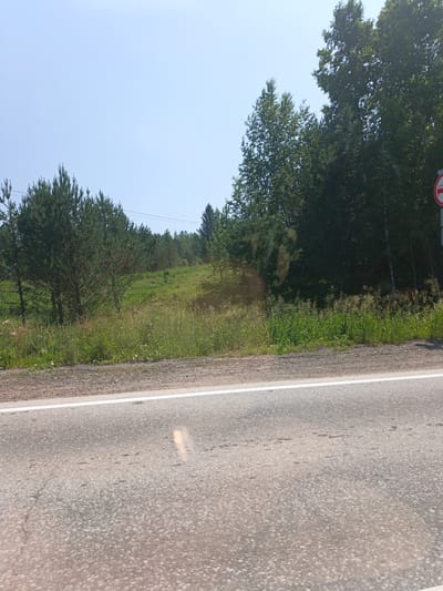 The image shows a roadside view with a paved road in the foreground. The road has a white line marking its edge. Beyond the road, there is a grassy embankment with scattered trees. A dense forest occupies the background, with the sky visible above. The location is identified as Targai, Russia. There are no people or specific actions depicted in the scene. The environment appears to be a rural or natural setting.