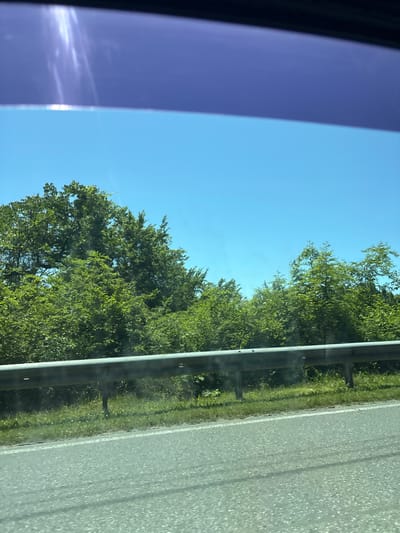 The image captures a landscape view from the interior of a moving vehicle on a bright, sunny day. On the far left, a dark-framed car window is partially visible, with a significant portion of the window tinted in a bluish-purple hue. Within this tinted section, faint, wispy cloud-like reflections are visible.
Beyond the vehicle interior, the scene transitions to an expansive, clear blue sky dominating the upper left and central portions of the image. Lush, vibrant green trees with dense foliage stretch across the middle and right-middle ground, suggesting a roadside forest or dense vegetation. A light grey or silver guardrail runs horizontally through the image, separating the natural landscape from the road. Between the guardrail and the trees, a strip of green grass and other vegetation is visible.
To the right of the guardrail, a paved asphalt road occupies the right side of the frame. The road surface is grey with a textured appearance, and a distinct white line marks the edge of the shoulder adjacent to the guardrail. The bright lighting, clear sky, and visible reflections indicate midday conditions with excellent weather. There are no people or discernible text in the image. The setting suggests a drive along a highway or rural road in an area consistent with Viadati Eshyra, Abkhazia.