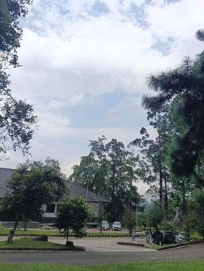 A view of a parking area with several vehicles parked near a white building with a gray roof. Tall trees surround the building and parking lot, creating a green and leafy atmosphere. The sky is partly cloudy, with patches of blue visible between the clouds. Some people can be seen standing near a vehicle in the parking area. The scene depicts a tranquil environment with a blend of natural and man-made elements.