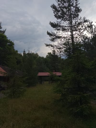 The image depicts a somewhat overgrown area with scattered structures and dense foliage under a cloudy sky. In the foreground, tall pine trees and evergreen branches dominate the right side, with a pathway of dry grass and weeds extending into the midground. To the left, a portion of a building with a red roof and a dark, possibly wooden, facade is visible. Further back, a covered picnic shelter with a red roof and dark supporting posts stands in an open, grassy area. Several wooden benches or picnic tables are situated beneath this shelter. The background is filled with a dense, dark green forest, with varying tree heights. The overall impression is of a slightly neglected, natural outdoor space, likely within a park or recreational area. The location is identified as Сонячне, Ukraine.