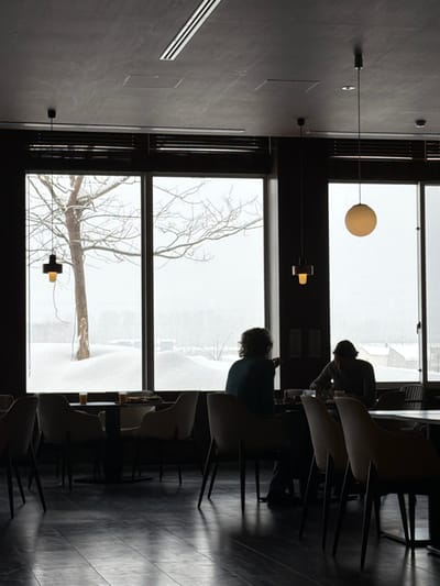 Inside a building with large windows, two individuals are seated at a table. Outside, there's a snowy landscape featuring a bare tree. The room's interior is dimly lit, highlighting the chairs and the wall with air vents. The lighting fixture consists of a spherical lamp and a small, square lamp near the window.
