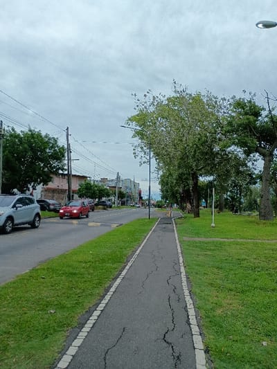 This image captures a street scene alongside a green space, likely in General Pacheco, Argentina. The perspective is looking down a paved path that runs parallel to a road.
On the left side, a vibrant green lawn extends, dotted with several large trees. The trees feature dense, green foliage, with one prominent tree exhibiting lighter green, possibly new, leaves or blossoms. In the upper left corner against the sky, a circular, reflective object, likely a street light or overhead fixture, is visible.
The paved path in the foreground is made of dark asphalt and shows signs of wear with numerous cracks. It is bordered by distinct white lines on both sides. A narrow, well-maintained strip of green grass separates this path from the parallel street.
To the right of the grass strip is the road, where several cars are parked. A silver or grey car is visible in the immediate foreground, followed by a bright red car further down the street. In the mid-ground and background, utility poles with overhead wires line the street, leading the eye towards distant buildings that suggest a residential or mixed-use area.
The sky is uniformly overcast with a light grey hue, indicating a cloudy day with diffused daylight. There are no people visible, and no specific activity is taking place, contributing to a calm and quiet ambiance. No discernible text is present in the image.