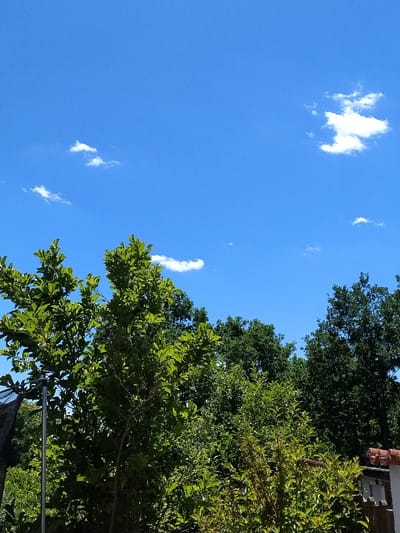The image shows a bright blue sky with a few scattered white clouds above a dense line of green trees. The trees are varied in size and foliage, with some lighter green leaves in the foreground and darker green leaves behind. To the far right, a section of a building with a terracotta tiled roof is visible, along with a wooden fence. A black pole with a net attached is partially visible on the left side of the frame. The scene appears to be outdoors, possibly in a suburban or rural area, given the presence of trees and a residential building. The image was taken in Dobev, Czechia.