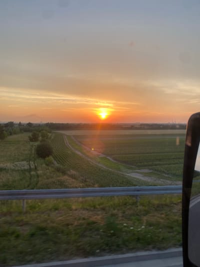 The image captures a sunset over a rural landscape, likely Podłęże, Poland. The sun is low on the horizon, casting a warm, golden glow across the sky and illuminating a field of crops. The crops appear to be arranged in neat rows, with some areas showing signs of water or irrigation. A metal guardrail runs along the right side of the image, suggesting the viewpoint is from a vehicle traveling alongside the field. In the distance, a line of trees and buildings can be seen, hinting at a nearby settlement. The sky is a mix of soft oranges, yellows, and whites, with some wispy clouds. The overall mood is peaceful and serene, evoking the calm beauty of the end of the day. There is no visible text in the image.