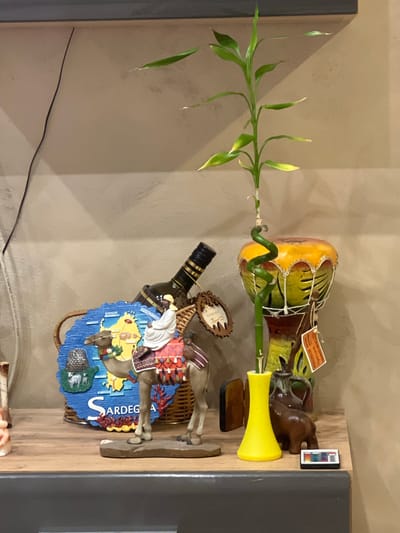 The image presents a still life arrangement of various decorative items displayed on a light wooden surface, likely a shelf, against a textured light beige wall.
On the left, a tall "lucky bamboo" plant with several slender green stalks and leaves reaches upwards. Some of the leaves show signs of yellowing. The main stalk of the bamboo has a distinct spiral section near its base.
Behind the bamboo plant, a decorative gourd-shaped item, painted in earthy tones of yellow, green, and reddish-brown, is encased in a white string net. A small tag hangs from it, partially legible with "WWW.SANTAROSA.COM" visible. To its right, a small, dark brown elephant figurine stands beside a bright yellow, trumpet-shaped vase. A small rectangular remote control with multiple colorful buttons, including red, green, blue, and labels like "ON", "OFF", is placed near the elephant, next to a dark grey object partially visible on the far right.
In the foreground, a woven basket holds an elaborate display of figurines and a wine bottle. A prominent blue, irregularly shaped piece, resembling a map, features the word "SARDEGNA" in white letters, strongly indicating the island of Sardinia, Italy. Above this, the text "GOSHA SHER" is also visible. Arranged around the "Sardegna" piece are figurines depicting camels and people in traditional attire, one person wearing a white robe. A dark-colored wine bottle with a gold-wrapped neck is nestled among these items.
The scene is indoors, with diffused lighting that does not cast harsh shadows. A thin black cable runs horizontally along the lower part of the wall. The collection of objects suggests souvenirs or personal keepsakes, with the "SARDEGNA" text providing a clear geographical reference for some of the items.