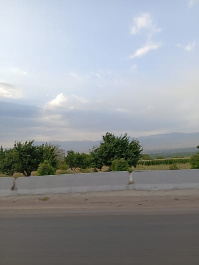 The image shows a roadside view of a rural landscape. In the foreground, there is a paved road with a concrete barrier. Beyond the barrier, there are trees and fields, with mountains in the background. The sky is cloudy. The scene appears to be in or around the city of Akcha, Uzbekistan.