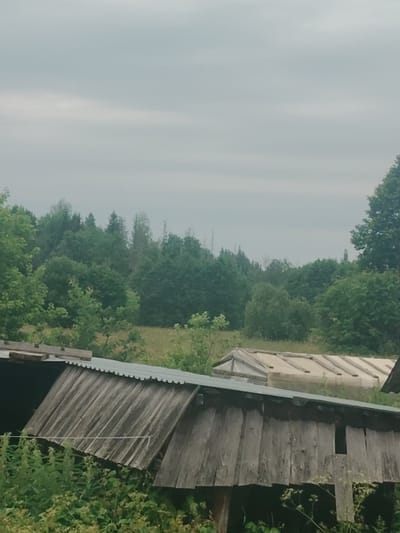The media file depicts an outdoor scene under a cloudy sky, suggesting an overcast day. In the foreground, a rustic, weathered wooden structure with a corrugated metal roof is visible. The wood appears aged and has a distressed texture, with vertical planks forming the sides. Green foliage and tall grass surround the base of this structure.
Behind the wooden building, a long, greenhouse-like structure with a translucent cover is situated on a grassy incline. The greenhouse has a wooden frame, and the cover is stretched taut over it, allowing some of the internal structure to be seen.
In the background, a dense forest of various green trees stretches across the landscape. The trees vary in height and density, creating a textured backdrop. Some bare or dead trees are interspersed among the green ones, hinting at the natural environment. The overall setting appears to be rural or agricultural, possibly a farm or a property with outbuildings and surrounding natural land.
There is no visible text in the image, nor are there any people present. The activity, if any, is not discernible from the static image. The location cues, such as the architecture of the structures and the type of vegetation, are consistent with a rural setting in Shaklei, Russia. The overcast sky suggests it is likely daytime, but the specific time is not evident. The weather appears to be calm, with no indication of wind or rain. The overall mood of the image is subdued, due to the cloudy weather and the rustic nature of the scene.