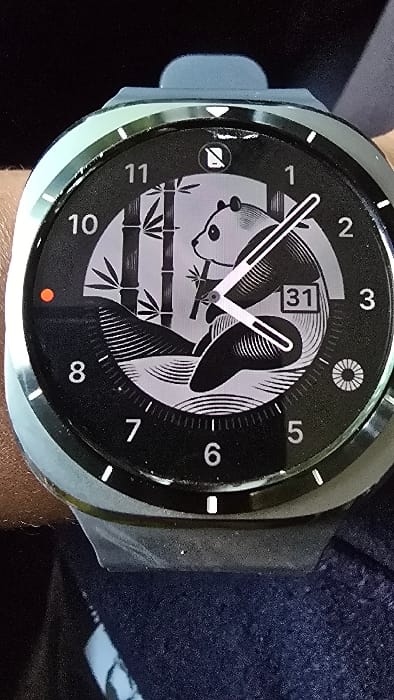 A close-up image captures a smartwatch worn on a person's wrist, with a dark blue fabric visible in the background, possibly clothing. The smartwatch features a circular, dark gray or black bezel with a light gray case and a light blue or gray silicone band.
The watch face prominently displays a stylized, grayscale illustration of a panda and bamboo stalks. The panda's head is visible on the left, with its body extending towards the right. The background of the watch face is black, adorned with white hour numbers (1 through 12) and minute markers. White hour and minute hands indicate the time, which appears to be approximately 1:57 or 1:58, as the hour hand points close to the 2 and the minute hand is near the 12.
Notable details on the watch face include a square date display box near the 2 o'clock position showing the number "31". In the upper left quadrant, there's an icon depicting a camera with a diagonal line through it, suggesting a camera-off or privacy mode. In the upper right quadrant, a small sun-like or starburst icon is present. A small red dot is visible in the lower left quadrant of the watch face. The watch's surface shows some reflections and minor wear.
The scene depicts the smartwatch in use, displaying a customized watch face. The location context provided is Shimbi Mashariki, Tanzania, though no specific visual cues within the image itself confirm this location.