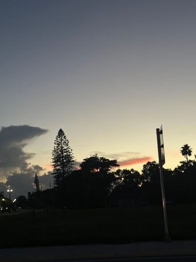 The image depicts an outdoor scene at dusk or twilight, located in Aventura, United States. The sky occupies the upper portion, transitioning from a darker grey-blue at the zenith to a lighter, yellowish-orange hue near the horizon, indicating the setting sun. Dark, amorphous clouds are present in the left sky, with a distinct, elongated reddish-orange cloud segment visible near the horizon to the right of center.
The lower half of the frame primarily features silhouetted elements. A dark concrete curb or sidewalk runs horizontally across the bottom edge, separating the viewer's perspective from a dark, unkempt grassy field that extends into the middle ground. Beyond this field, a dense line of silhouetted trees forms the horizon. Prominently in the left-center, a tall, slender coniferous tree (likely a Norfolk Island pine) stands erect. To the far right, the silhouette of a palm tree is visible. Within the dark mass of broadleaf trees, a faint outline of a small building or structure is discernible in the center-right. On the far left, several illuminated streetlights cast a yellow glow, indicating artificial illumination. A tall, reflective metallic street signpost stands vertically on the right side of the frame, partially obscuring the trees behind it. No people, active movements, or direct interactions are visible.
