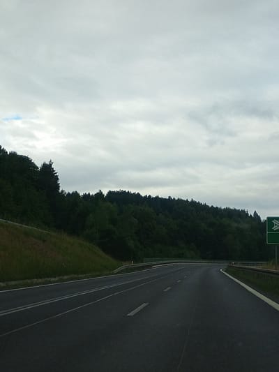 The image captures a view from a highway near Szare, Poland, under an overcast sky. A dark asphalt road with white lane markings curves to the right, bordered by a grassy embankment on the left and a guardrail on the right. A dense, dark green forest covers a hillside that rises to the left and stretches across the background. On the right side of the road, a green highway sign with white pictograms indicating an exit or junction is visible. The scene suggests a rural or semi-rural highway environment.