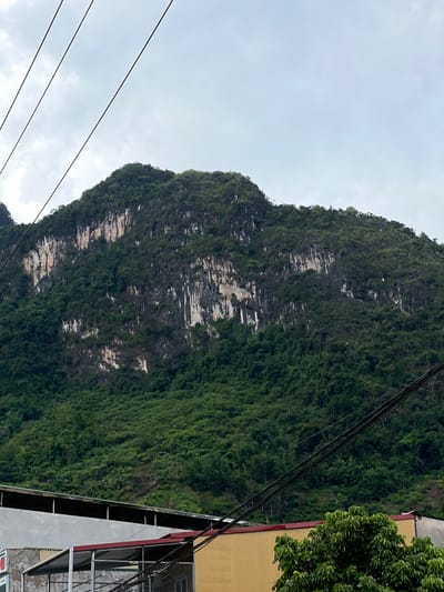 The image captures a view of a lush green mountain with a sheer, rocky face, partially obscured by a cloudy sky. Several power lines crisscross the sky in the foreground, casting shadows. Below the mountain, a series of buildings with corrugated metal roofs and concrete walls are visible. The architecture suggests a utilitarian, possibly industrial or commercial, setting. In the lower right corner, the dense foliage of a large tree adds a vibrant green contrast to the scene. The overall impression is one of a natural landscape meeting human development in a Southeast Asian urban or semi-urban environment. Based on the provided location of Hà Giang 2 Ward, Vietnam, this scene likely depicts a common sight in areas where natural topography interfaces with developing infrastructure.