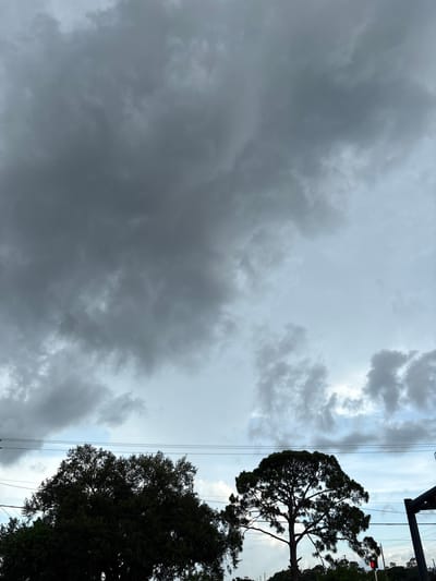 This is an exterior, full-frame, vertical shot of a stormy sky over what appears to be a suburban or rural area. The sky is dominated by dark, heavy clouds that fill the upper two-thirds of the frame, with lighter, wispy clouds and patches of blue sky visible towards the bottom. In the foreground, silhouetted against the sky, are the tops of two large trees. The tree on the left is a dense, dark green foliage, while the tree on the right is a tall pine with a distinct, wide canopy. Power lines are visible stretching horizontally across the image in front of the trees. On the far right, a traffic signal with a red light is partially visible, suggesting the presence of a road or intersection. The overall impression is one of an approaching storm. The location is identified as Bradenton, United States.