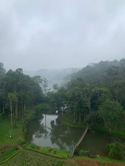 This aerial photograph captures a serene, misty landscape at what appears to be a botanical garden or nature resort in Thôn 14, Vietnam. The scene is dominated by lush, dense green foliage and a calm, reflective lake.
In the foreground, a meticulously maintained garden with rows of vibrant green plants, possibly flowers, is visible, bordered by manicured grass. A winding path leads from this garden towards the lake. Two small wooden bridges cross a section of the water, with one appearing to be a suspension bridge constructed of bamboo.
The lake itself is a prominent feature, its dark water mirroring the surrounding trees and the overcast sky. The banks of the lake are lined with grass and various trees, some with slender trunks and others with broader canopies.
Beyond the immediate area of the lake and gardens, the landscape rises into rolling hills blanketed with a thick forest. The trees are tall and densely packed, creating a natural, untamed appearance. A layer of mist hangs low in the background, obscuring the distant hills and adding a sense of depth and mystery to the scene. The overall atmosphere is one of tranquility and natural beauty, with the fog contributing to a slightly ethereal quality. No people are visible in the image.