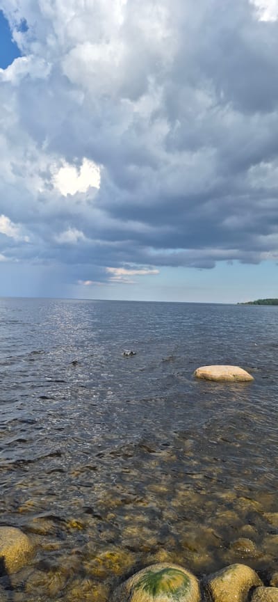 The image depicts a view of the bay of the Ladoga Lake in the village of Motornoe, Russia, under a cloudy sky. The water is calm with gentle ripples, and the bottom is visible in the foreground due to the clear water, showing several large rocks, some covered in moss. In the middle ground, a single large, light-colored rock emerges from the water. The horizon is defined by a distant treeline on the right. The sky is filled with dramatic dark and light gray clouds, with patches of brighter sky visible.