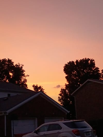 The image depicts a twilight scene with a gradient sky of pale orange and pink hues, indicative of sunset or sunrise. Silhouetted against the sky are the dark outlines of several deciduous trees and the rooftops of residential buildings. A light-colored SUV is parked in front of a garage, partially visible in the lower right quadrant of the image. The architecture suggests a suburban setting, likely in Nicholasville, United States of America, characterized by houses and garages. The overall atmosphere is peaceful and serene.