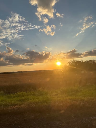 This is a vertically oriented, eye-level, medium shot of a sunset over a rural landscape. The sun, a bright orb of golden light, is low in the sky, casting long rays through scattered, wispy clouds. The sky transitions from a clear, pale blue at the top to a warm orange and yellow near the horizon, indicating sunset. The clouds are illuminated by the setting sun, appearing white and golden.

To the right of the frame, a field of dry, golden-brown vegetation, likely harvested crops, stretches into the distance. In the foreground, a strip of greener vegetation, possibly grass or uncut crops, borders the field. A line of trees is visible along the horizon, silhouetted against the bright sky. The overall mood is serene and peaceful, capturing the beauty of a rural sunset. The image appears to have been taken outdoors, in a rural setting. There is no visible text.