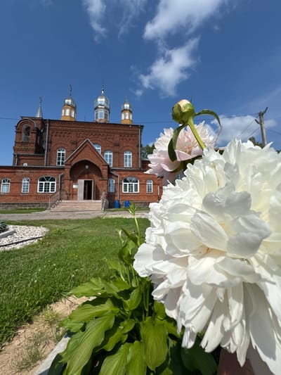 A low-angle, wide shot captures a close-up of a white peony in the foreground, with a blurred red brick church in the background under a bright blue sky with scattered white clouds. The church has multiple silver domes with crosses and a prominent arched entrance with stairs leading up to it. Green grass covers the ground between the flowers and the church. The scene is located in the city of Chudovo, Russia.
