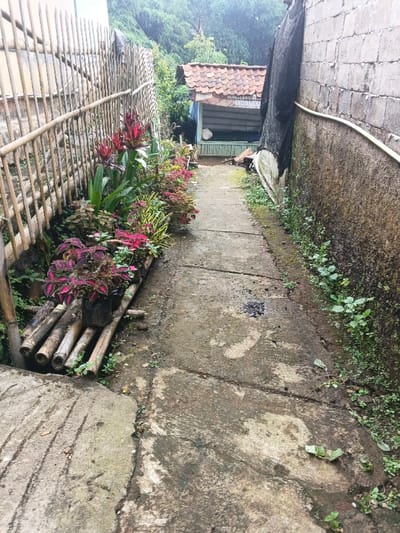 A narrow, damp walkway leads to a covered structure in the distance. The path is flanked by a fence and a wall, both showing signs of age and wear. A vibrant assortment of plants lines the left side, adding a splash of color to the scene. The right wall is covered in moss and small plants, hinting at a humid environment. The walkway appears wet, possibly due to recent rain.